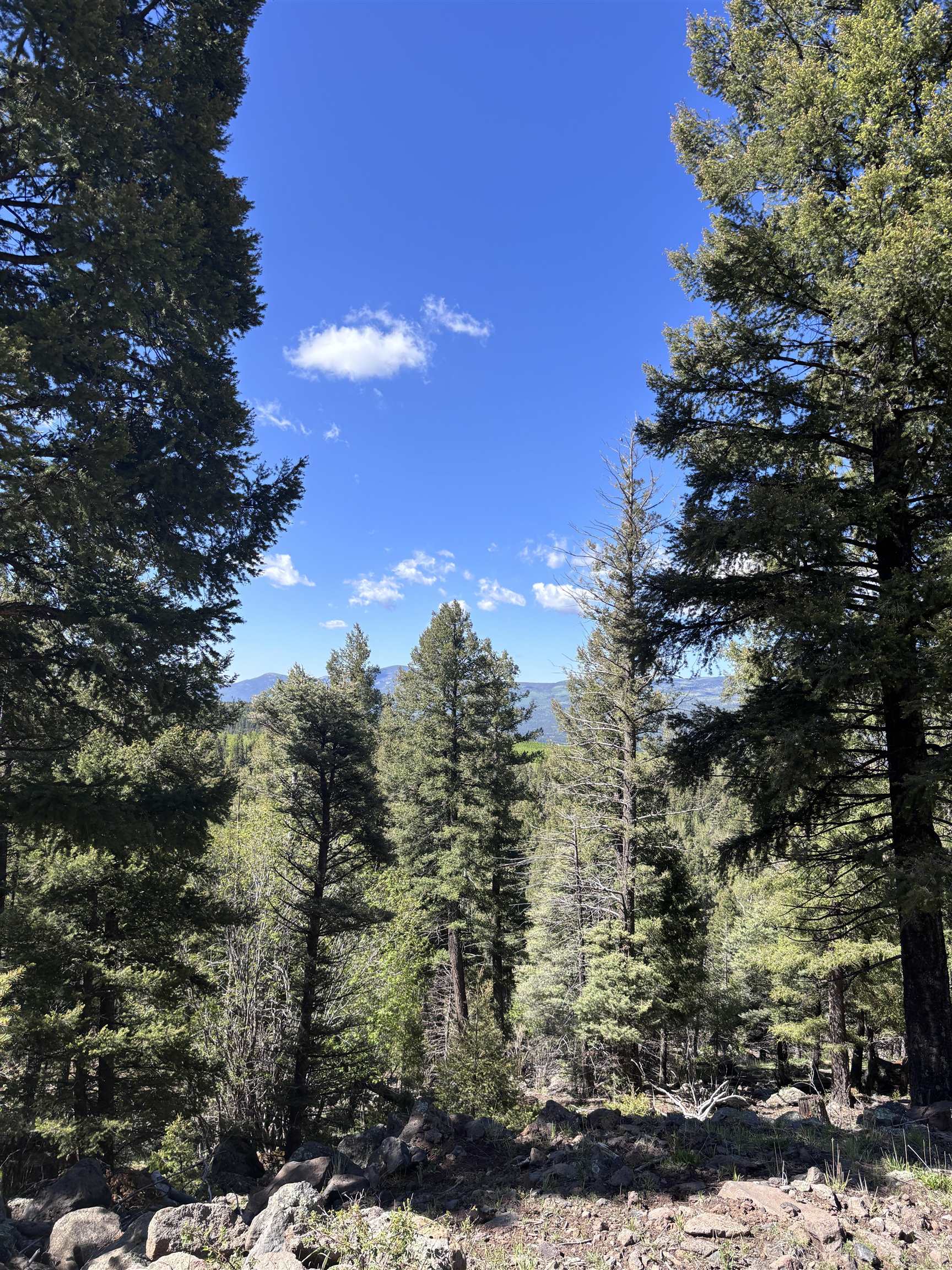 Lot 1145 Panorama Way #18, Angel Fire, Texas image 4