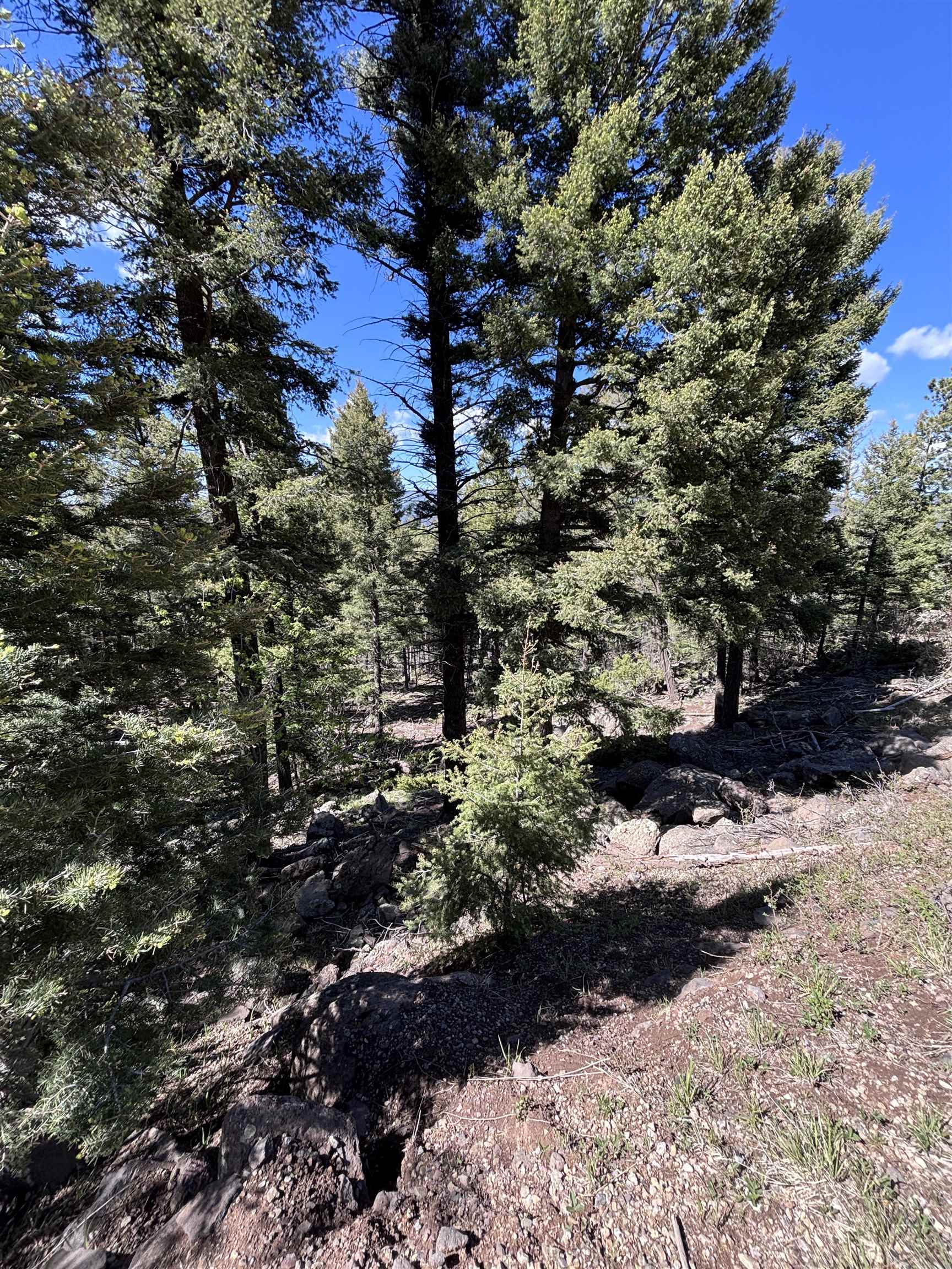 Lot 1145 Panorama Way #18, Angel Fire, Texas image 2