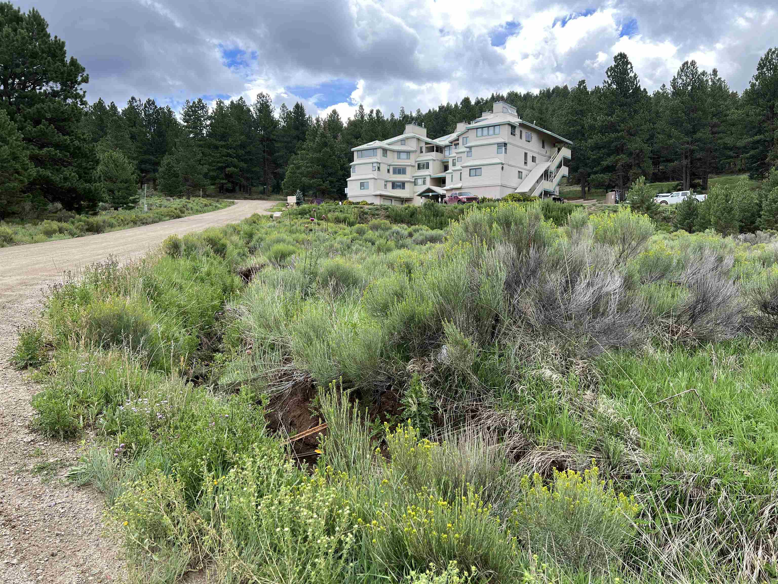 Lot 2 Winter Park Lane Angel Fire NM 87710