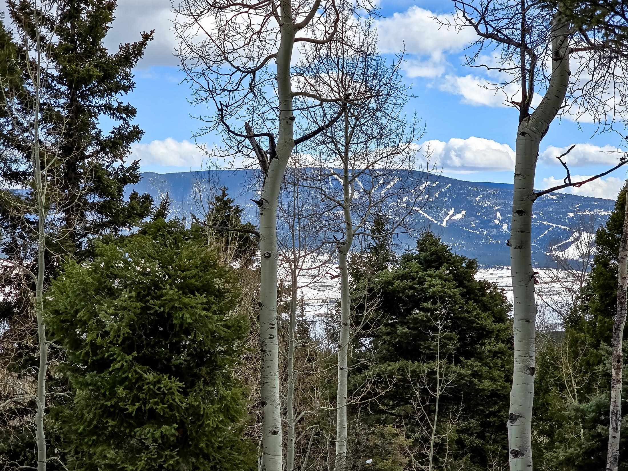 226 Taos Pines Ranch Rd, Angel Fire, New Mexico image 28