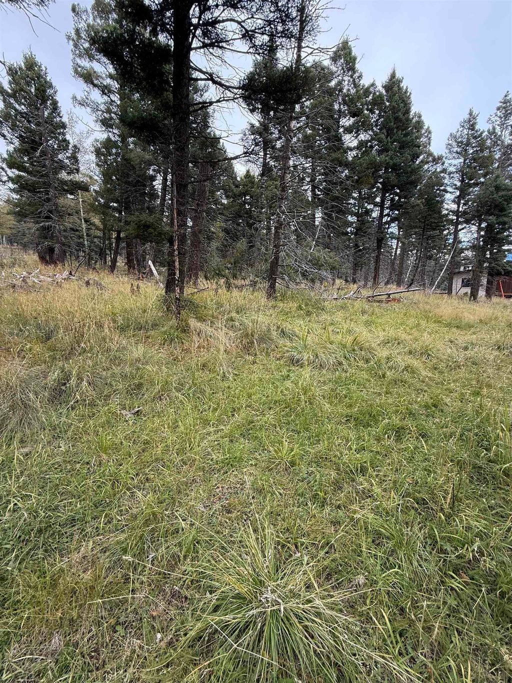 Photo of Lot 1469 Cheerful Way, Angel Fire, NM 87710 (MLS # 114025)
