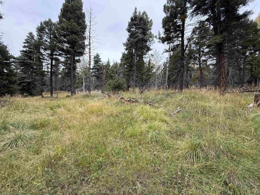 Photo of Lot 1469 Cheerful Way, Angel Fire, NM 87710 (MLS # 114025)
