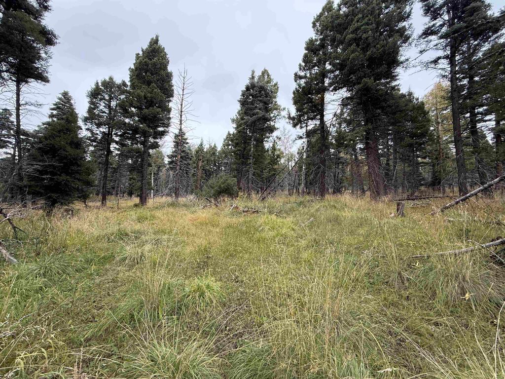 Photo of Lot 1469 Cheerful Way, Angel Fire, NM 87710 (MLS # 114025)