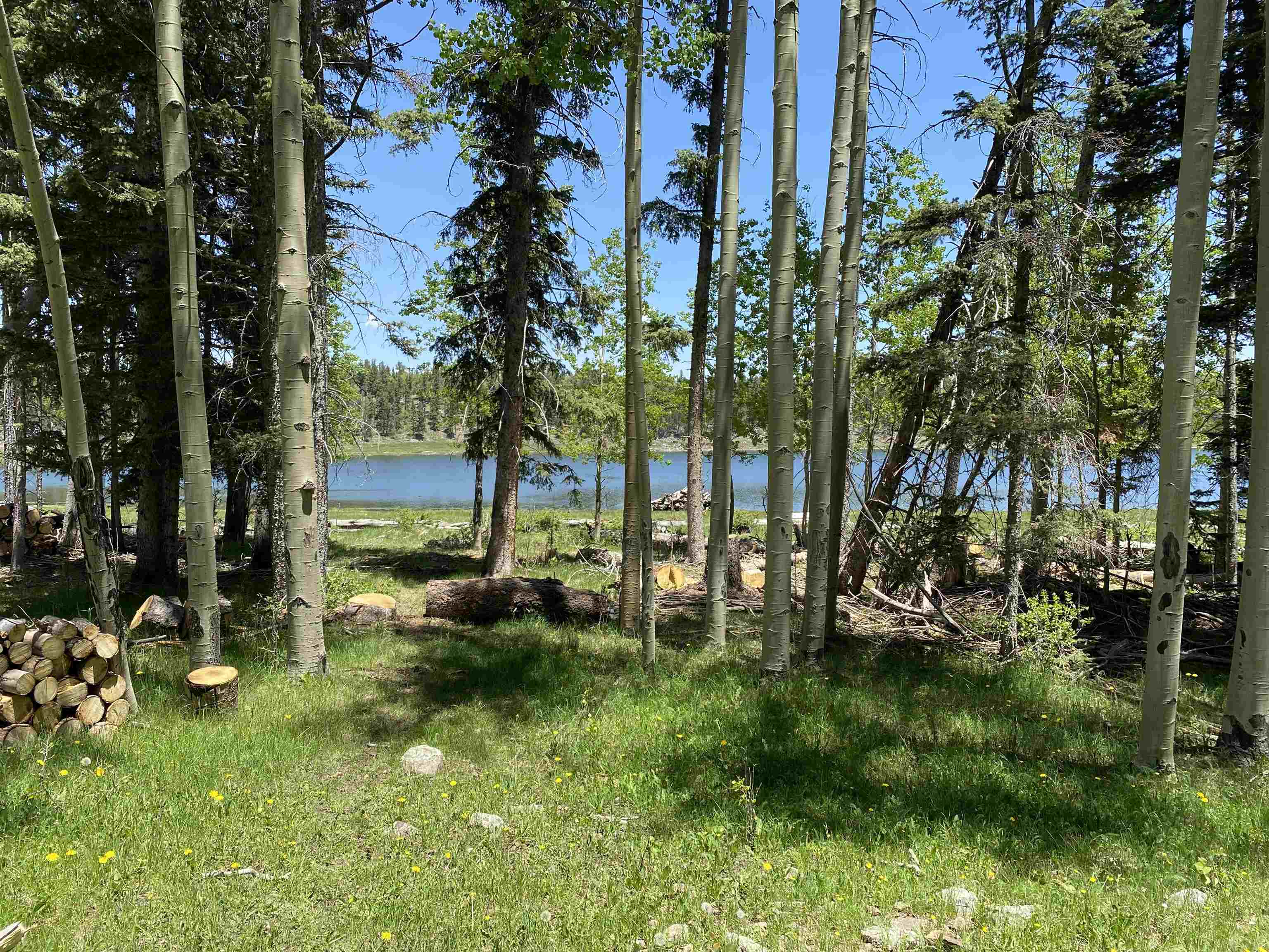 Lot 40 AB Hidden Lake Circle, Angel Fire, New Mexico image 1