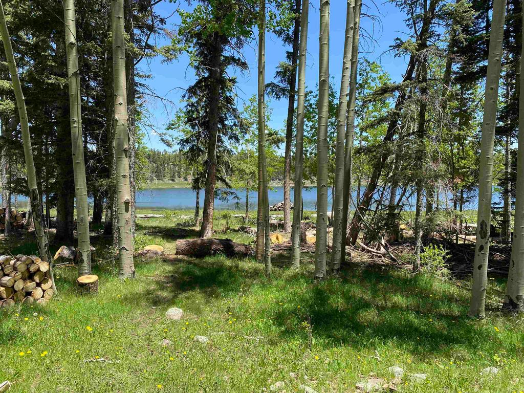Photo of Lot 40 AB Hidden lake Circle, Angel Fire, NM 87710 (MLS # 113307)