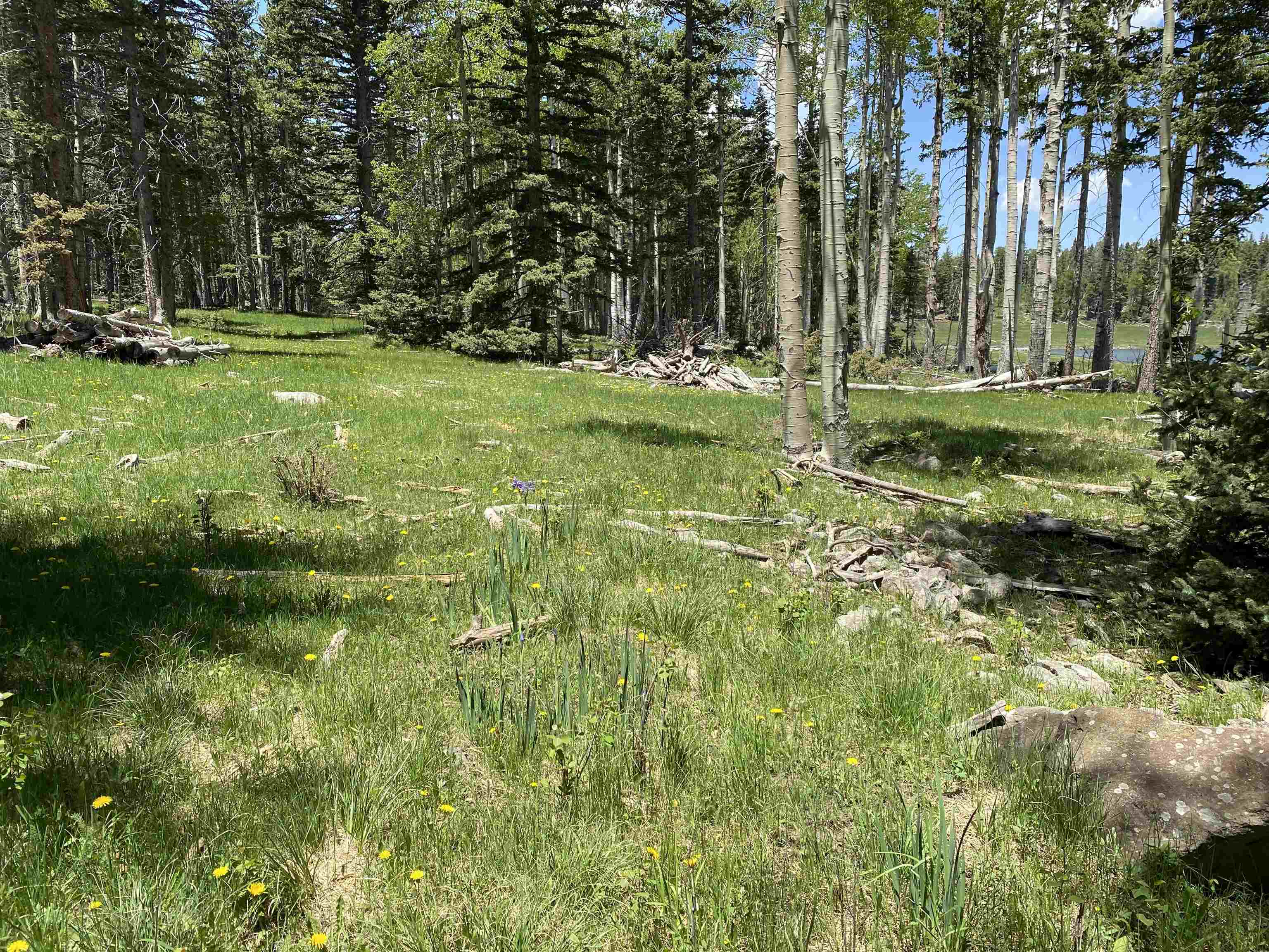 Lot 40 AB Hidden Lake Circle, Angel Fire, New Mexico image 10