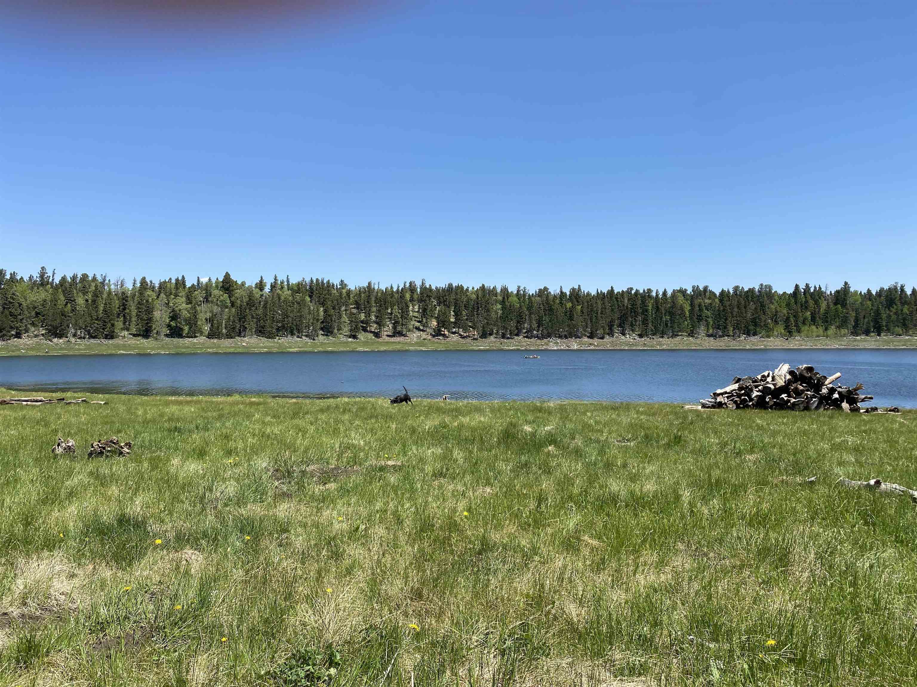 Lot 40 AB Hidden Lake Circle, Angel Fire, New Mexico image 3