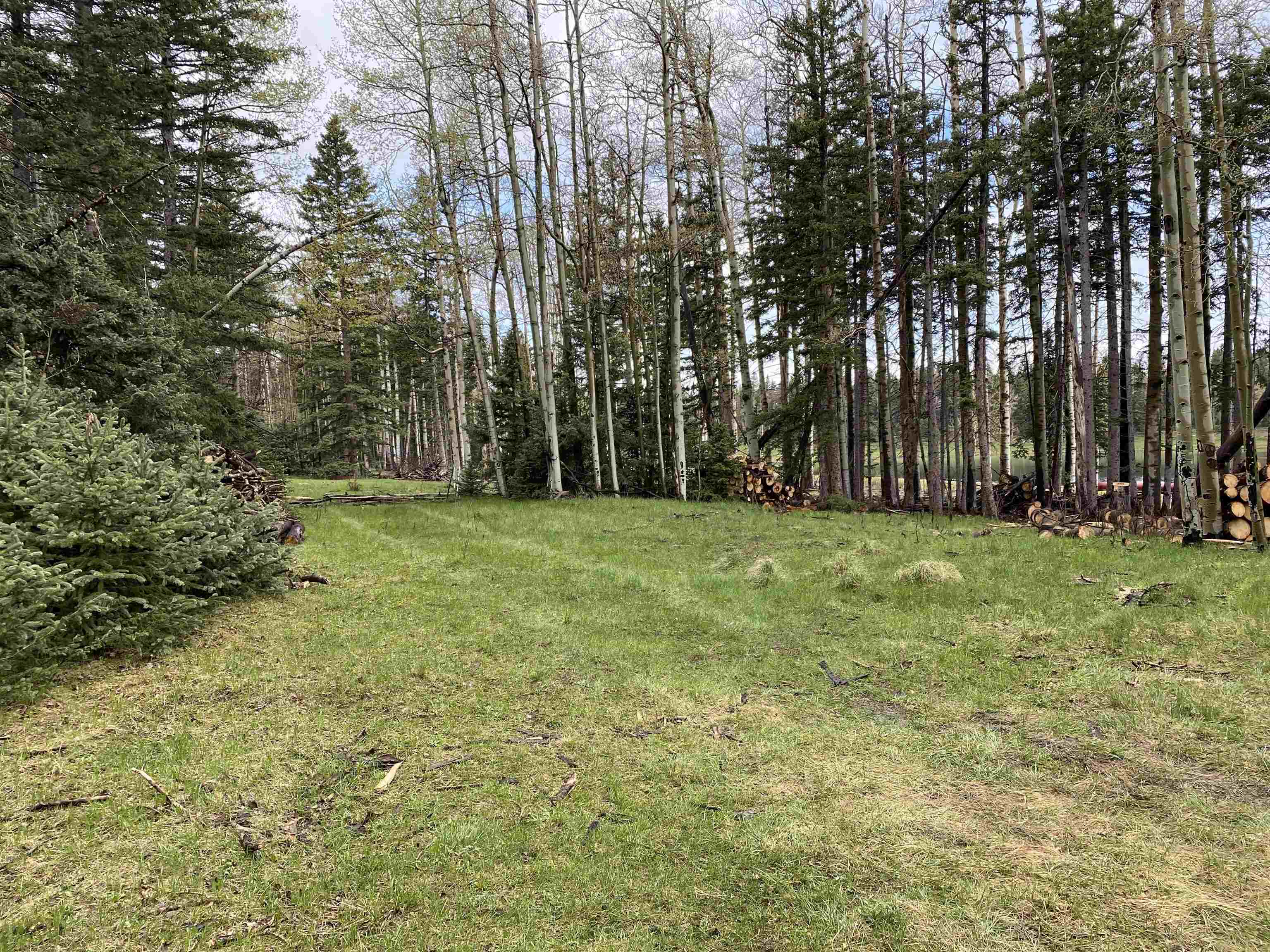 Lot 40 AB Hidden Lake Circle, Angel Fire, New Mexico image 7