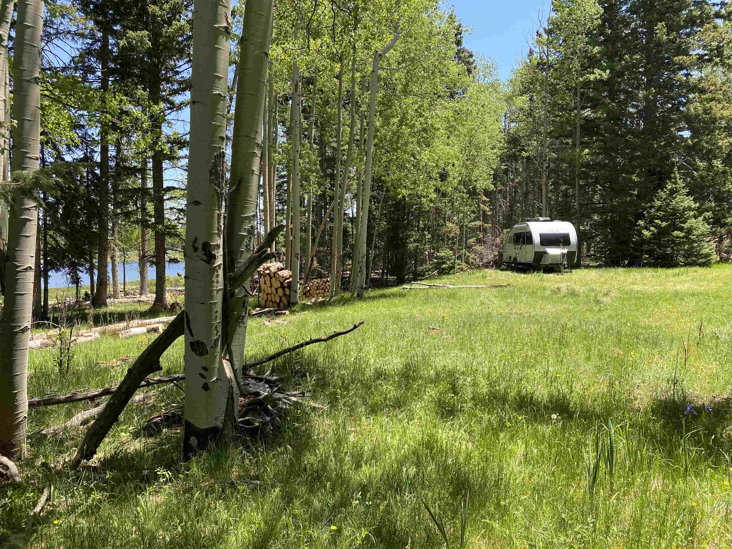 Lot 40 AB Hidden Lake Circle, Angel Fire, New Mexico image 11