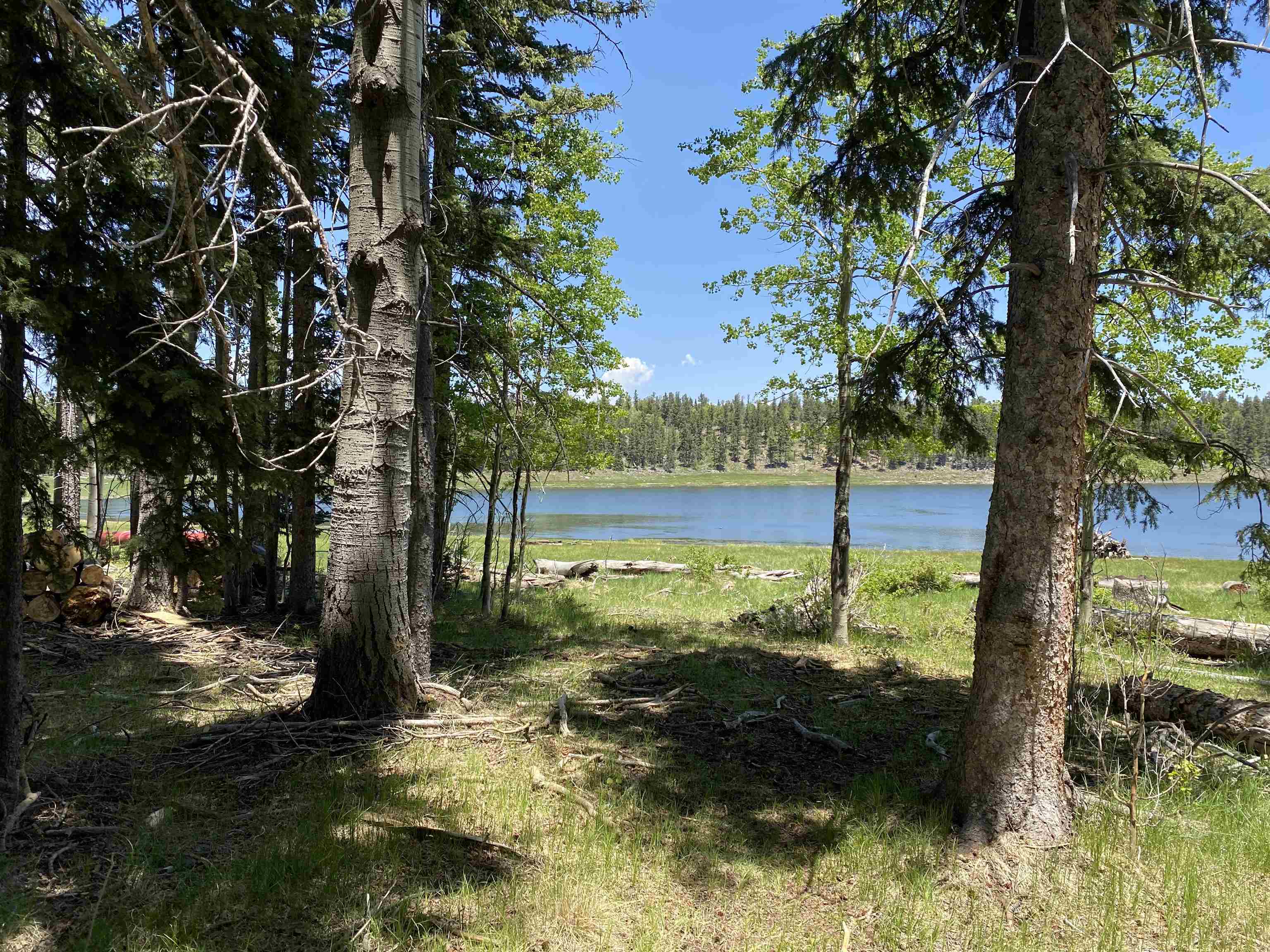 Lot 40 AB Hidden Lake Circle, Angel Fire, New Mexico image 2