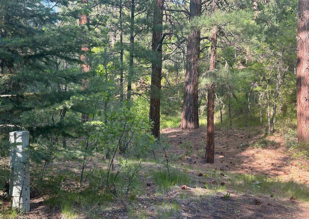 Photo of Tract B 266 Gallina Canyon Road, Valdez, NM 87580 (MLS # 113671)