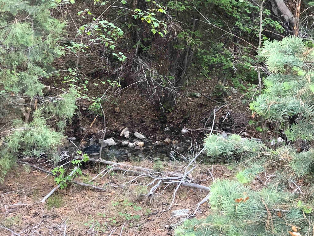 Photo of Tract B 266 Gallina Canyon Road, Valdez, NM 87580 (MLS # 113671)