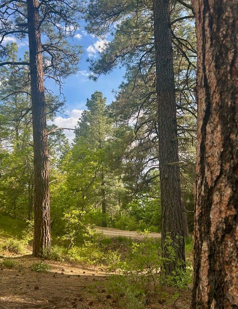 Photo of Tract B 266 Gallina Canyon Road, Valdez, NM 87580 (MLS # 113671)