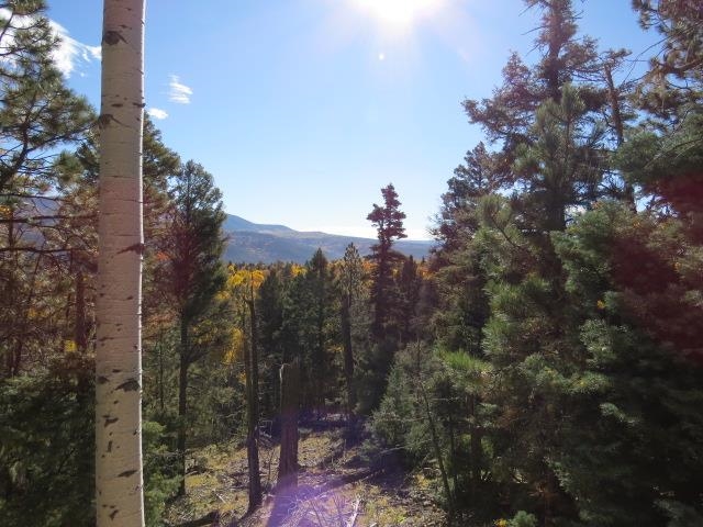 TBD Sierra Blanca Trail Lot 11 Street, Angel Fire, Florida image 2