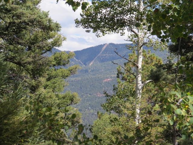 TBD Sierra Blanca Trail Lot 11 Street, Angel Fire, Florida image 12