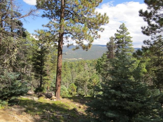 TBD Sierra Blanca Trail Lot 11 Street, Angel Fire, Florida image 11