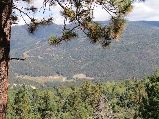 TBD Sierra Blanca Trail Lot 11 Street, Angel Fire, Florida image 27