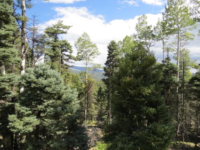 TBD Sierra Blanca Trail Lot 11 Street, Angel Fire, Florida image 17