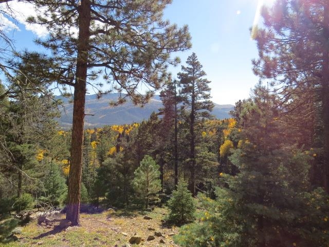 TBD Sierra Blanca Trail Lot 11 Street, Angel Fire, Florida image 4