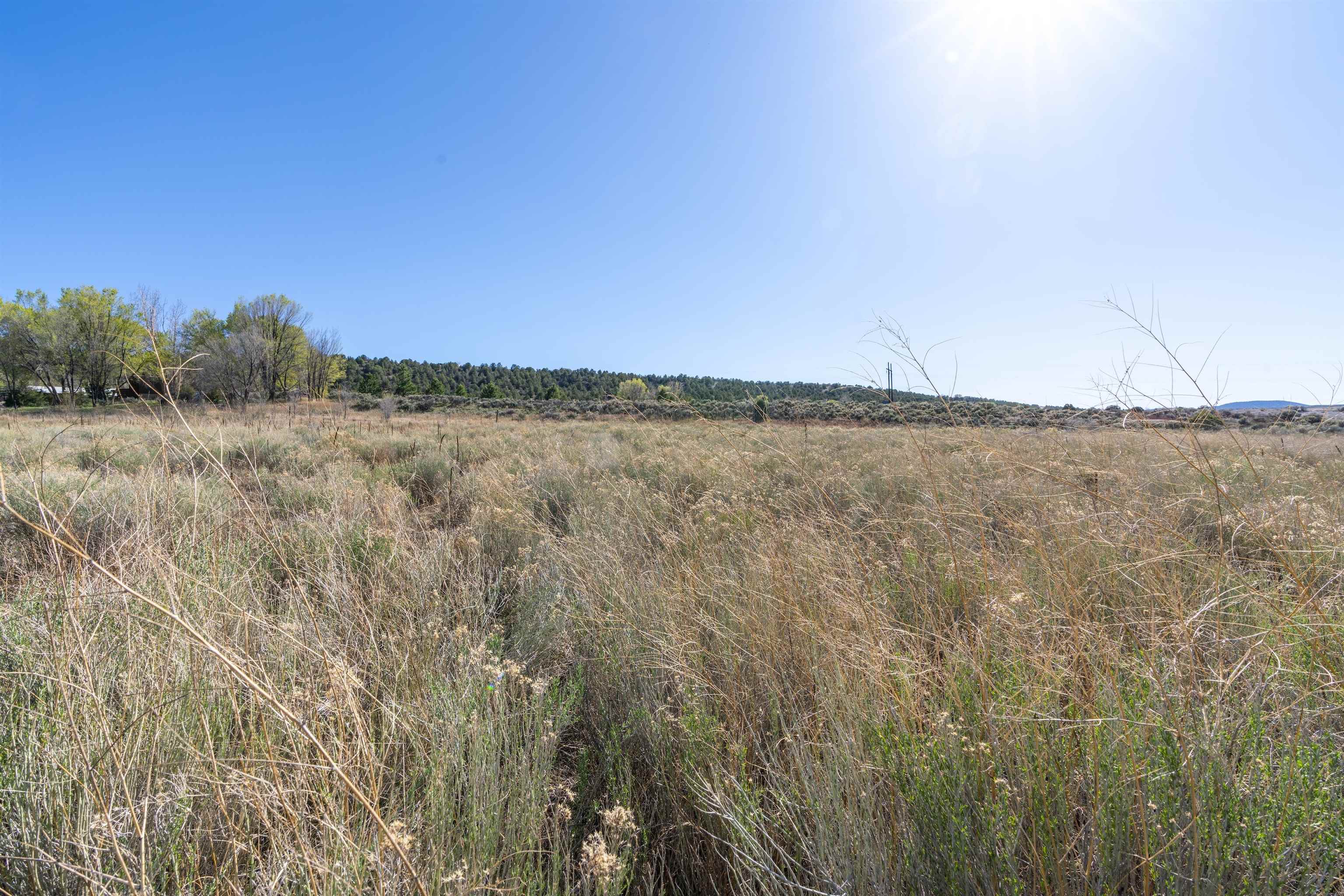 5 Acres Off Hondo Camino Del Medio, Arroyo Hondo, New Mexico image 9