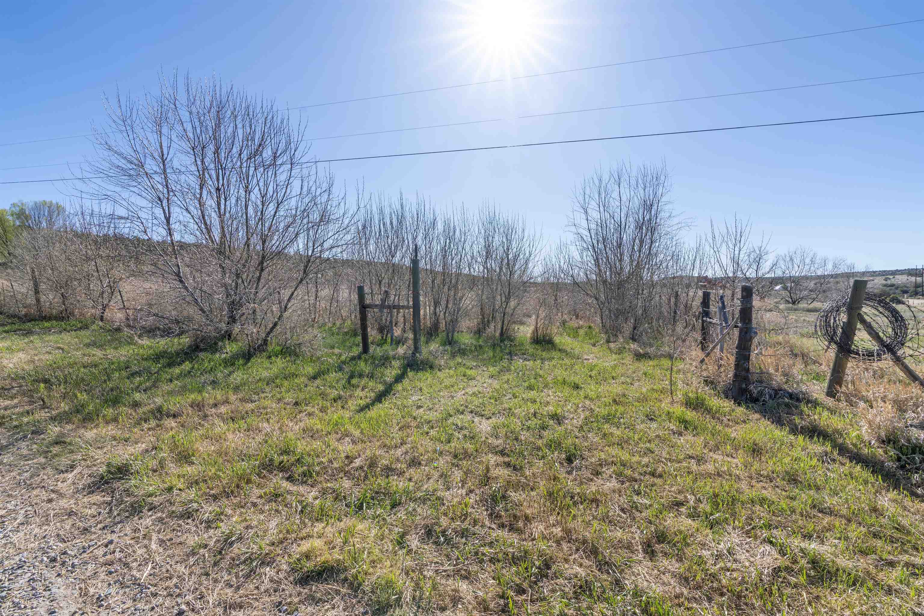 5 Acres Off Hondo Camino Del Medio, Arroyo Hondo, New Mexico image 4