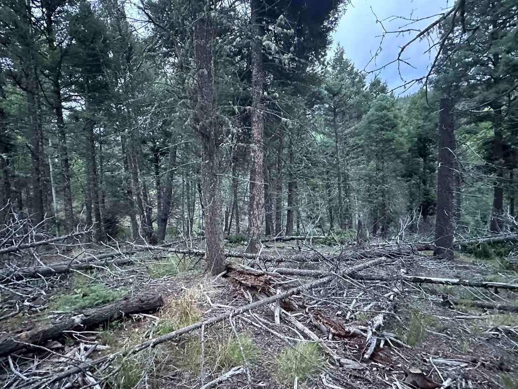 Photo of Lot 279 Vail Loop, Angel Fire, NM 87710 (MLS # 110891)