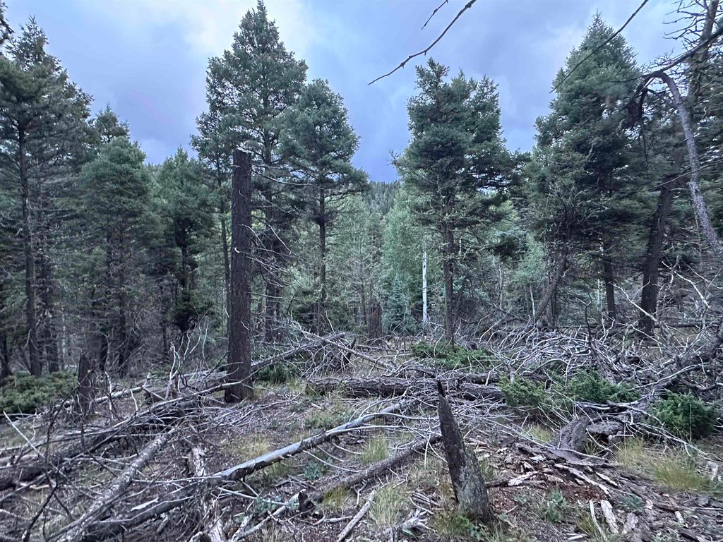 Photo of Lot 279 Vail Loop, Angel Fire, NM 87710 (MLS # 110891)