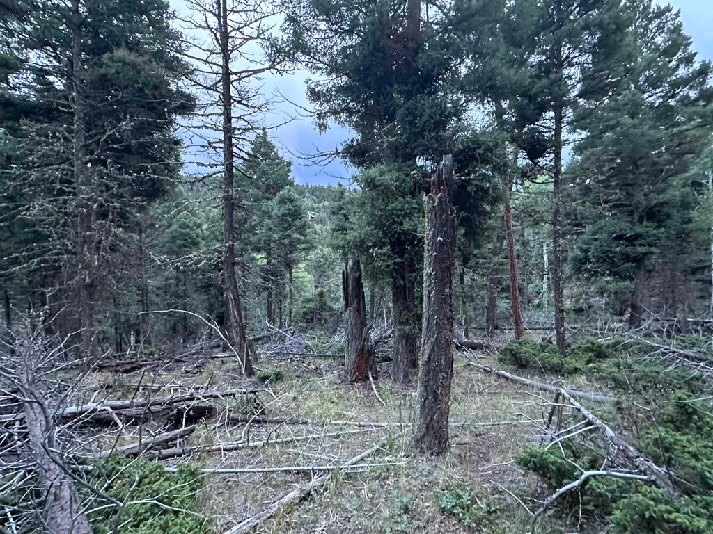 Photo of Lot 279 Vail Loop, Angel Fire, NM 87710 (MLS # 110891)