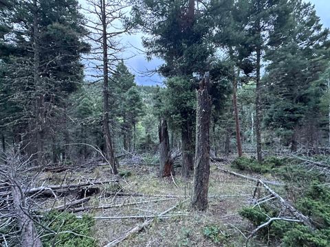 Photo of Lot 279 Vail Loop, Angel Fire, NM 87710 (MLS # 110891)
