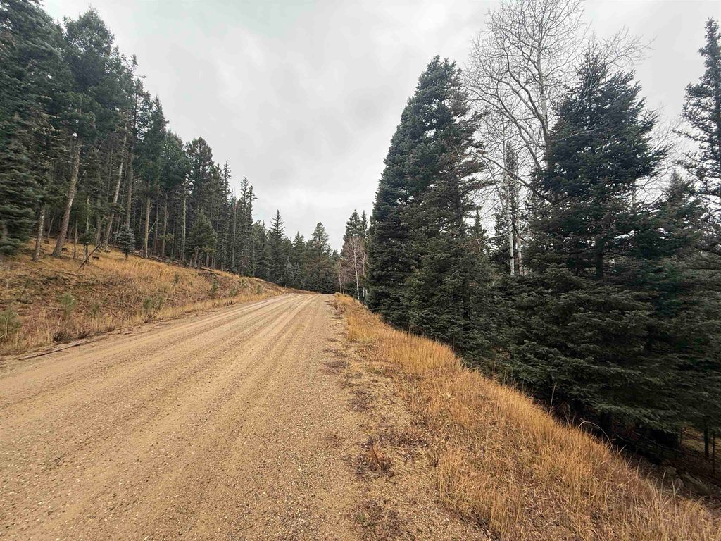 Photo of Lot 24 San Andres Terrace, Angel Fire, NM 87710 (MLS # 114307)