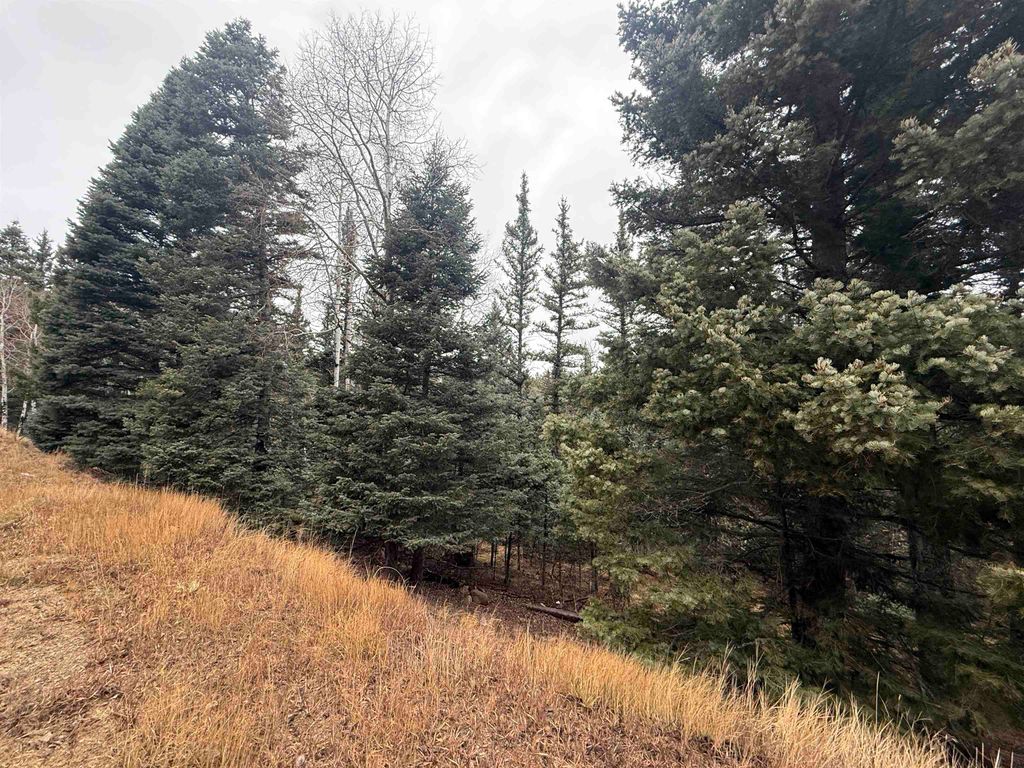 Photo of Lot 24 San Andres Terrace, Angel Fire, NM 87710 (MLS # 114307)