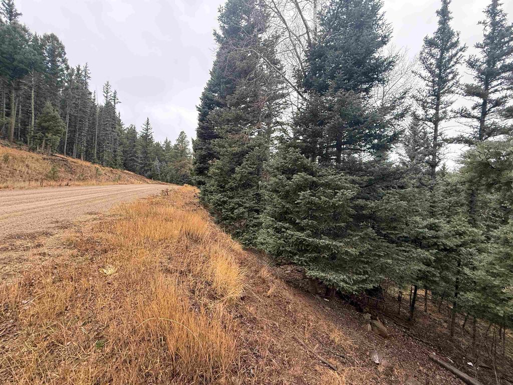 Photo of Lot 24 San Andres Terrace, Angel Fire, NM 87710 (MLS # 114307)