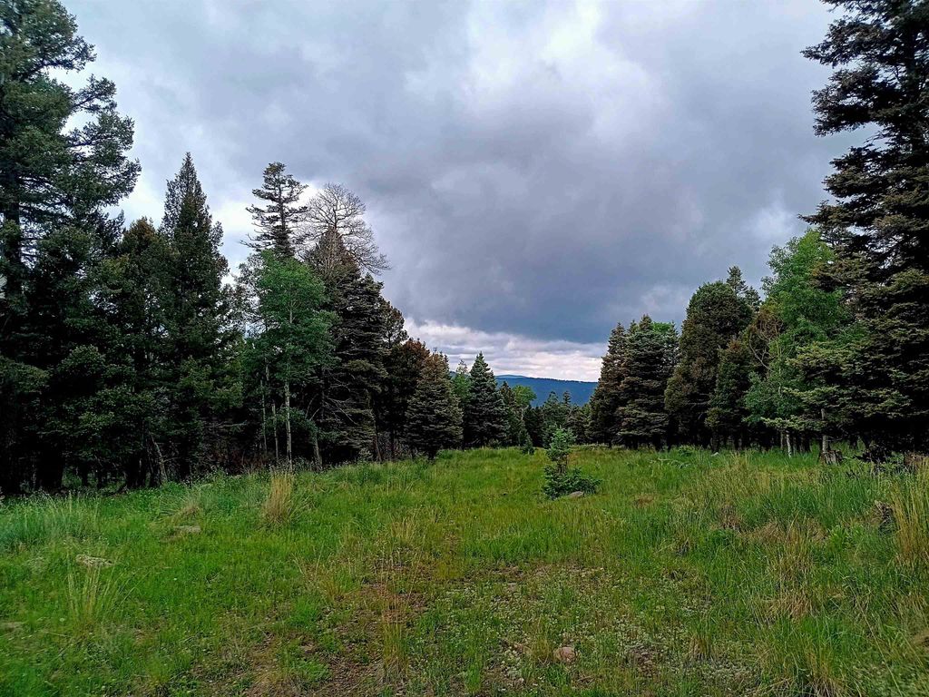 Photo of Lot 1220 Rainbow Overlook, Angel Fire, NM 87710 (MLS # 112004)