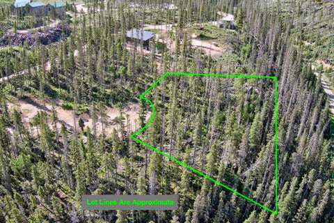 Vacant Land For Sale - 10 Lynx Drive<br/> Taos County, Taos Ski Valley, NM 87525