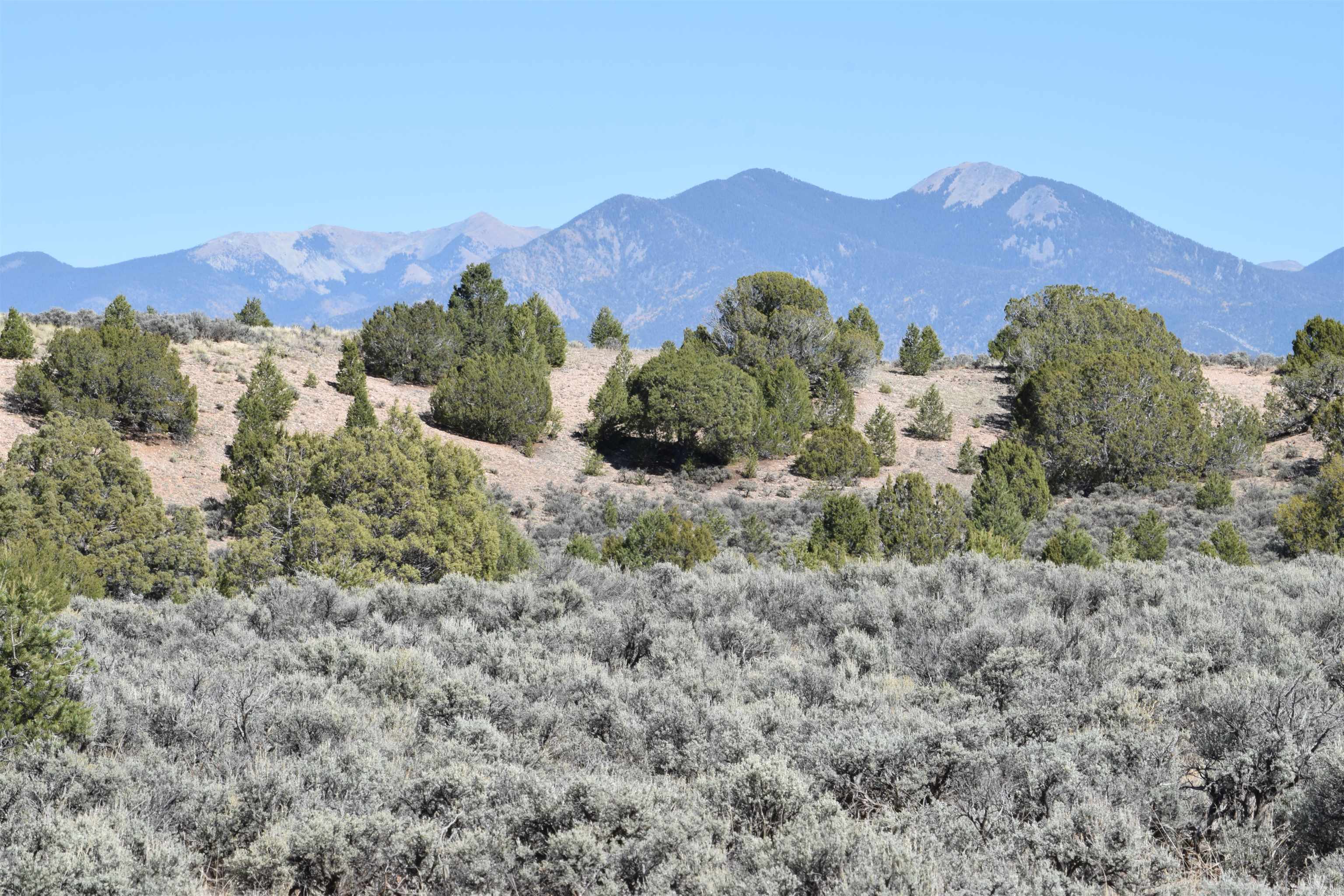 Cr 110, Ranchos de Taos, New Mexico image 9