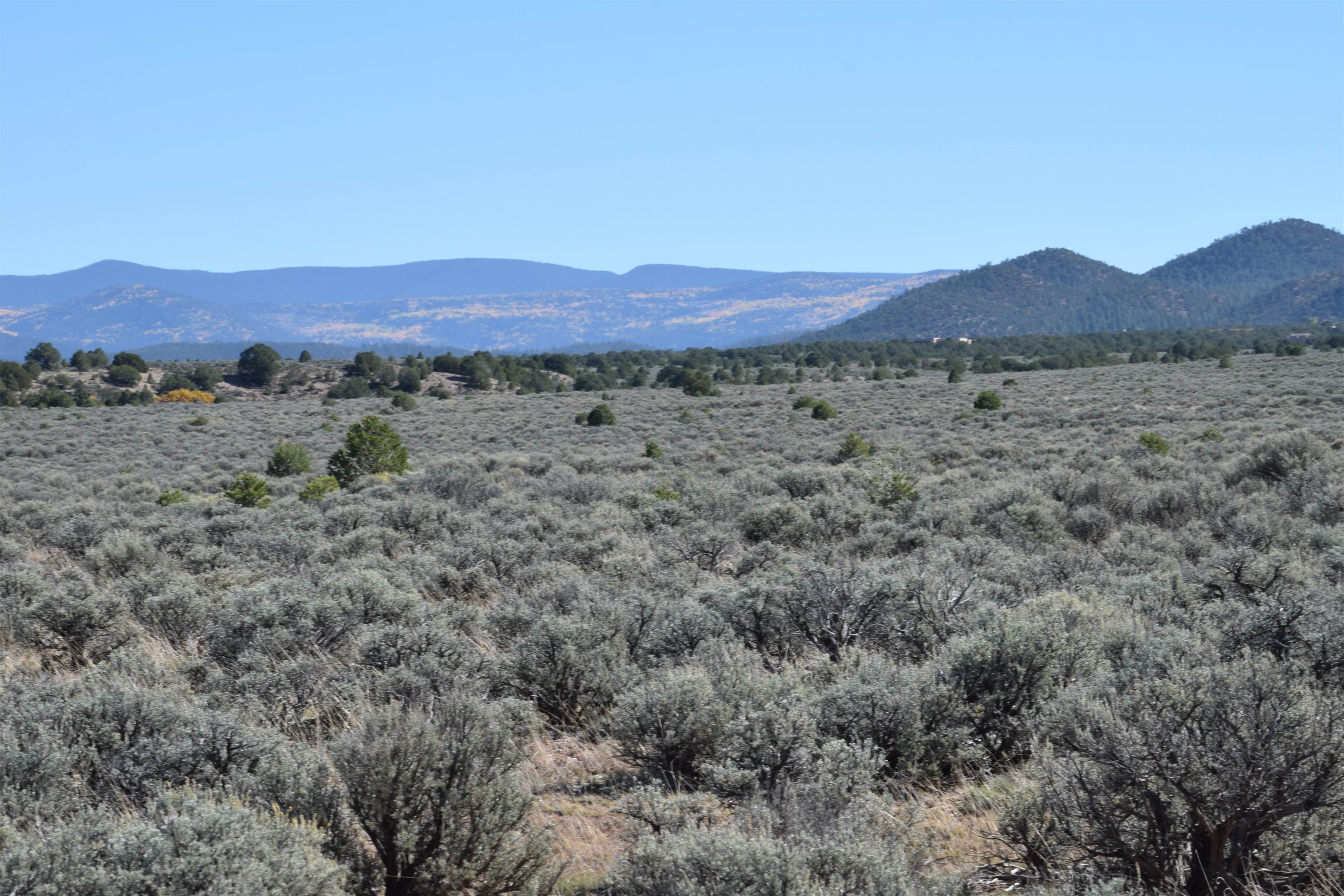 Cr 110, Ranchos de Taos, New Mexico image 19