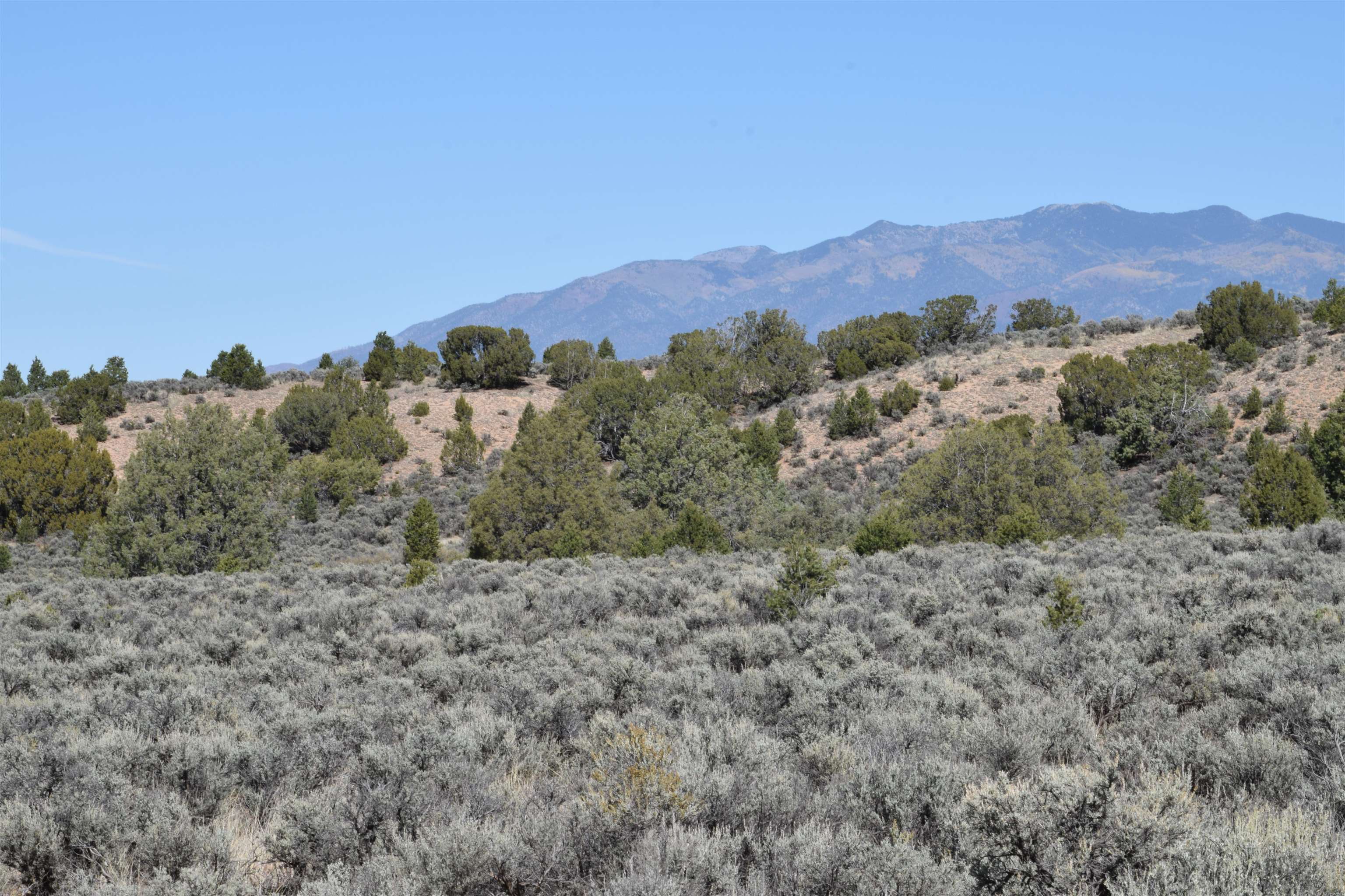 Cr 110, Ranchos de Taos, New Mexico image 8