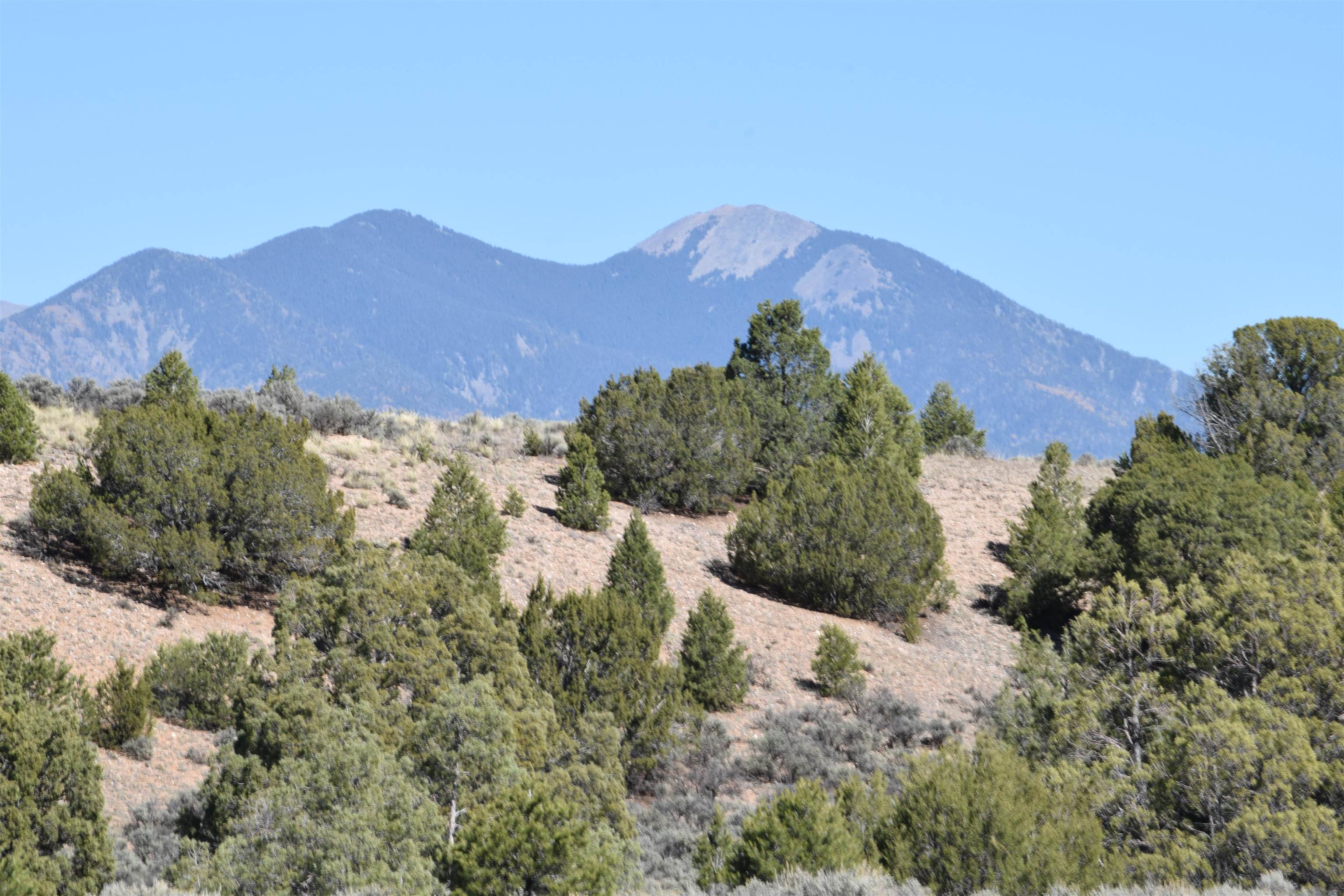 Cr 110, Ranchos de Taos, New Mexico image 10