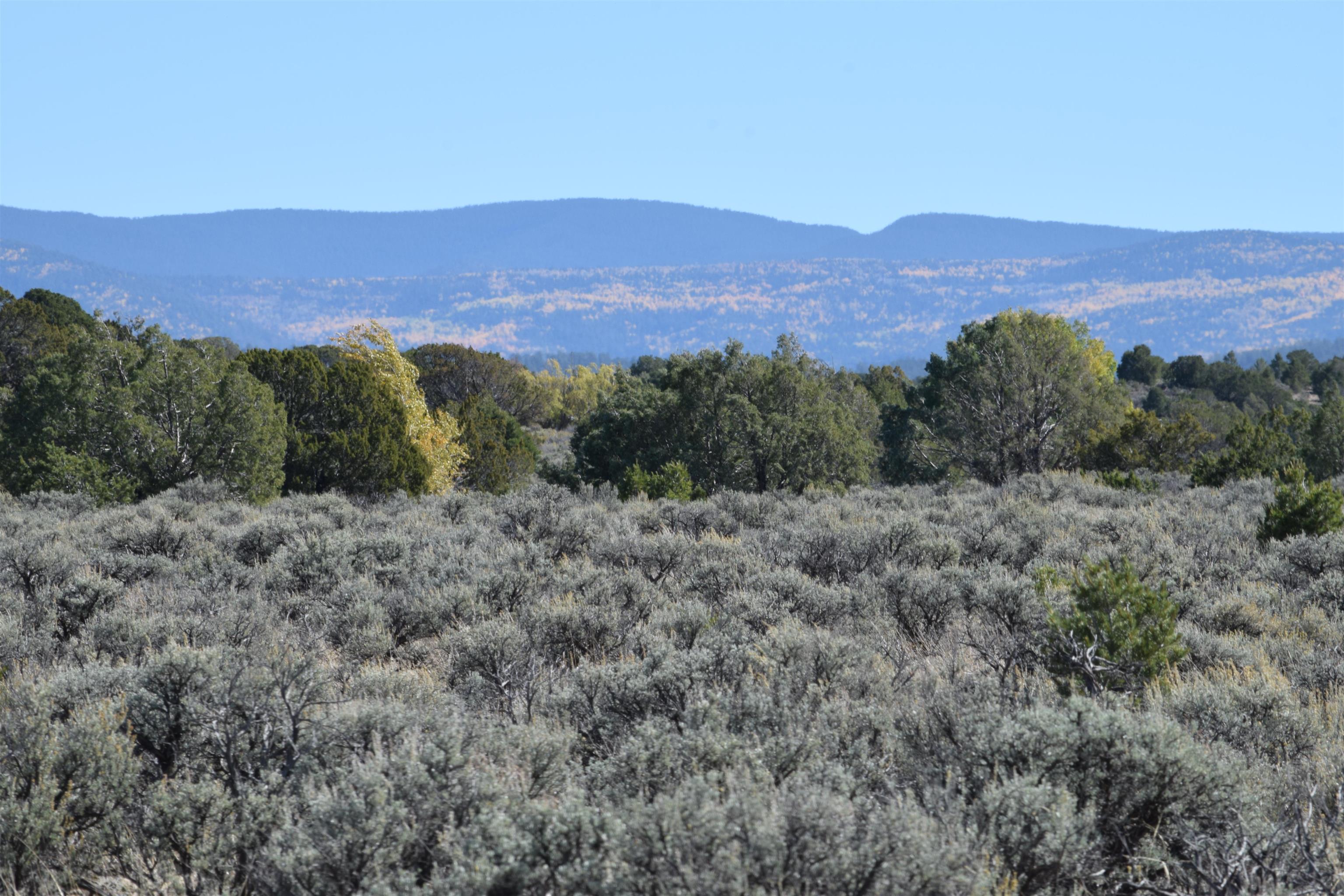 Cr 110, Ranchos de Taos, New Mexico image 20