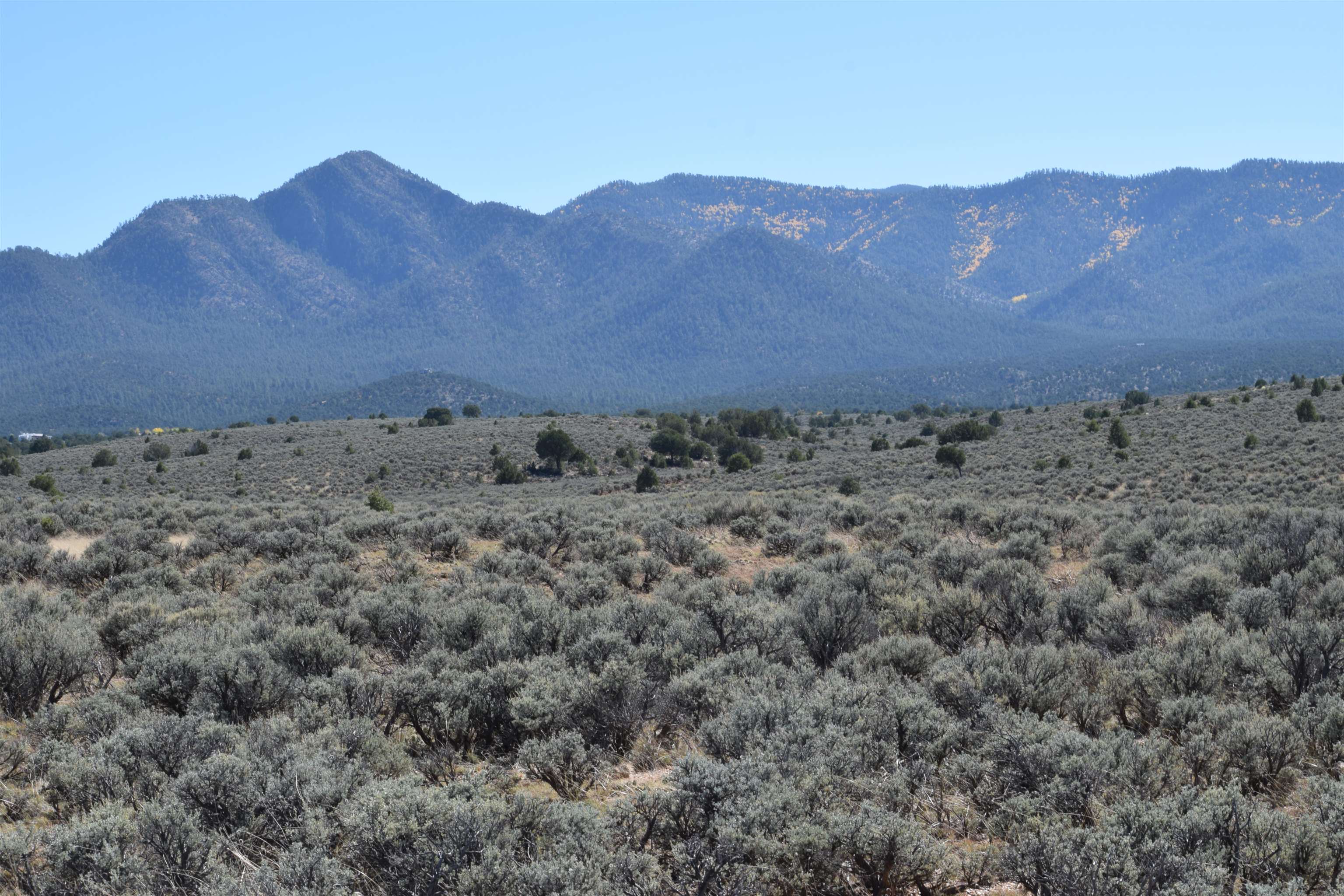 Cr 110, Ranchos de Taos, New Mexico image 2