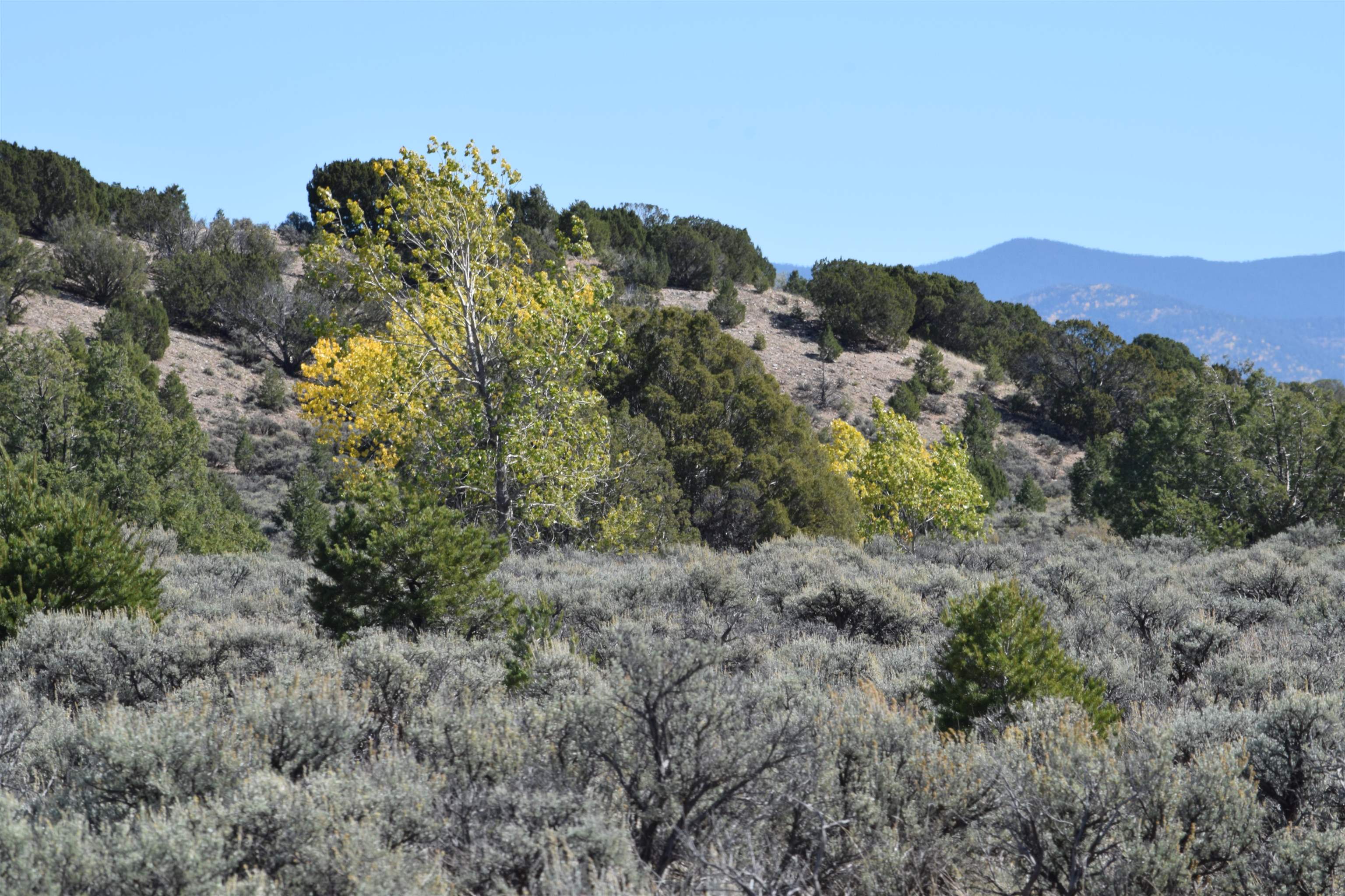 Cr 110, Ranchos de Taos, New Mexico image 12