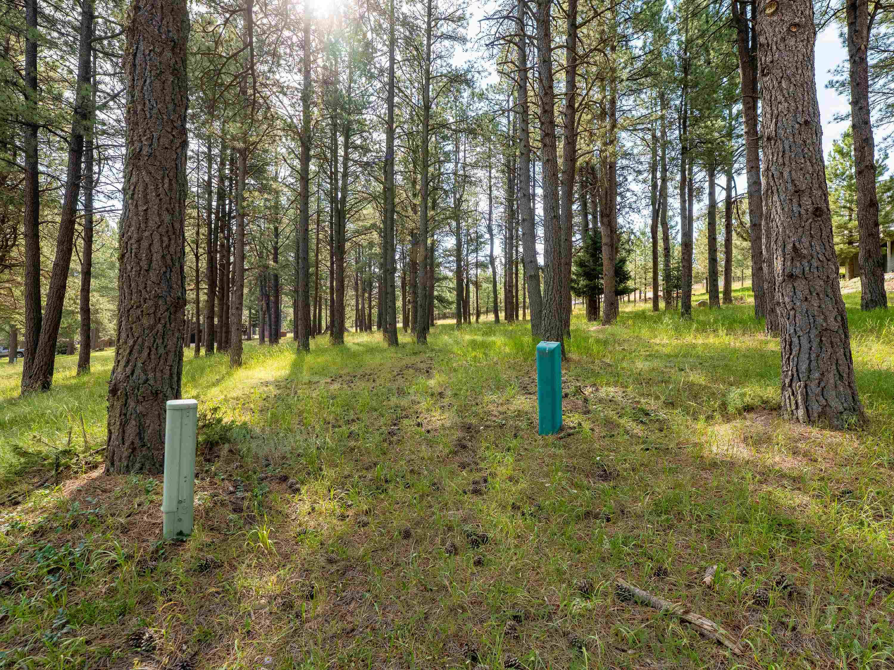 Angel Fire, New Mexico 87710, United States, ,Land,Active,196558