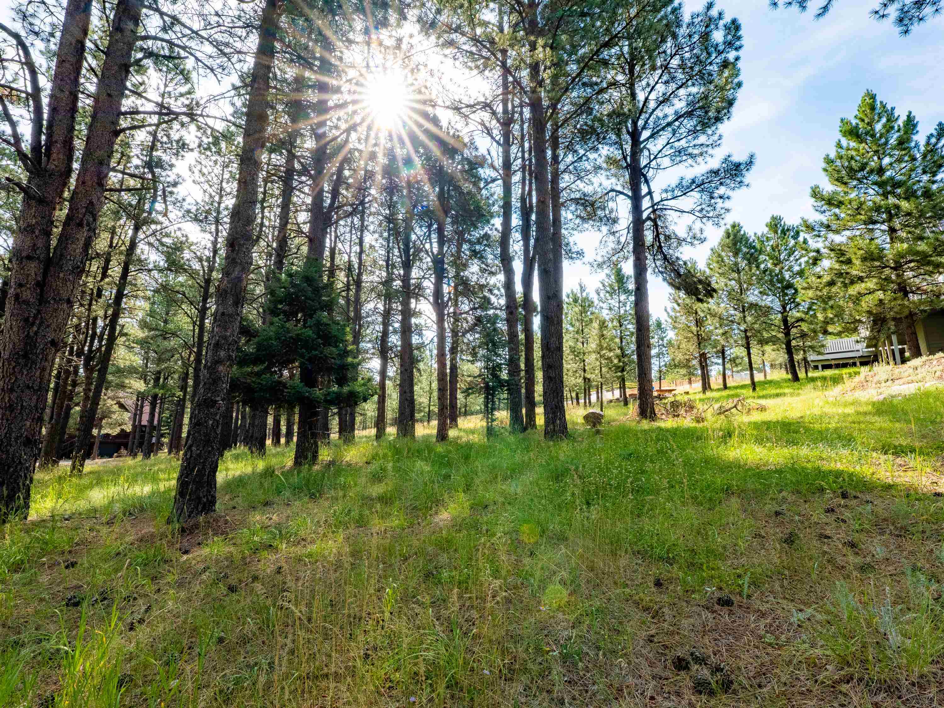 Angel Fire, New Mexico 87710, United States, ,Land,Active,196558