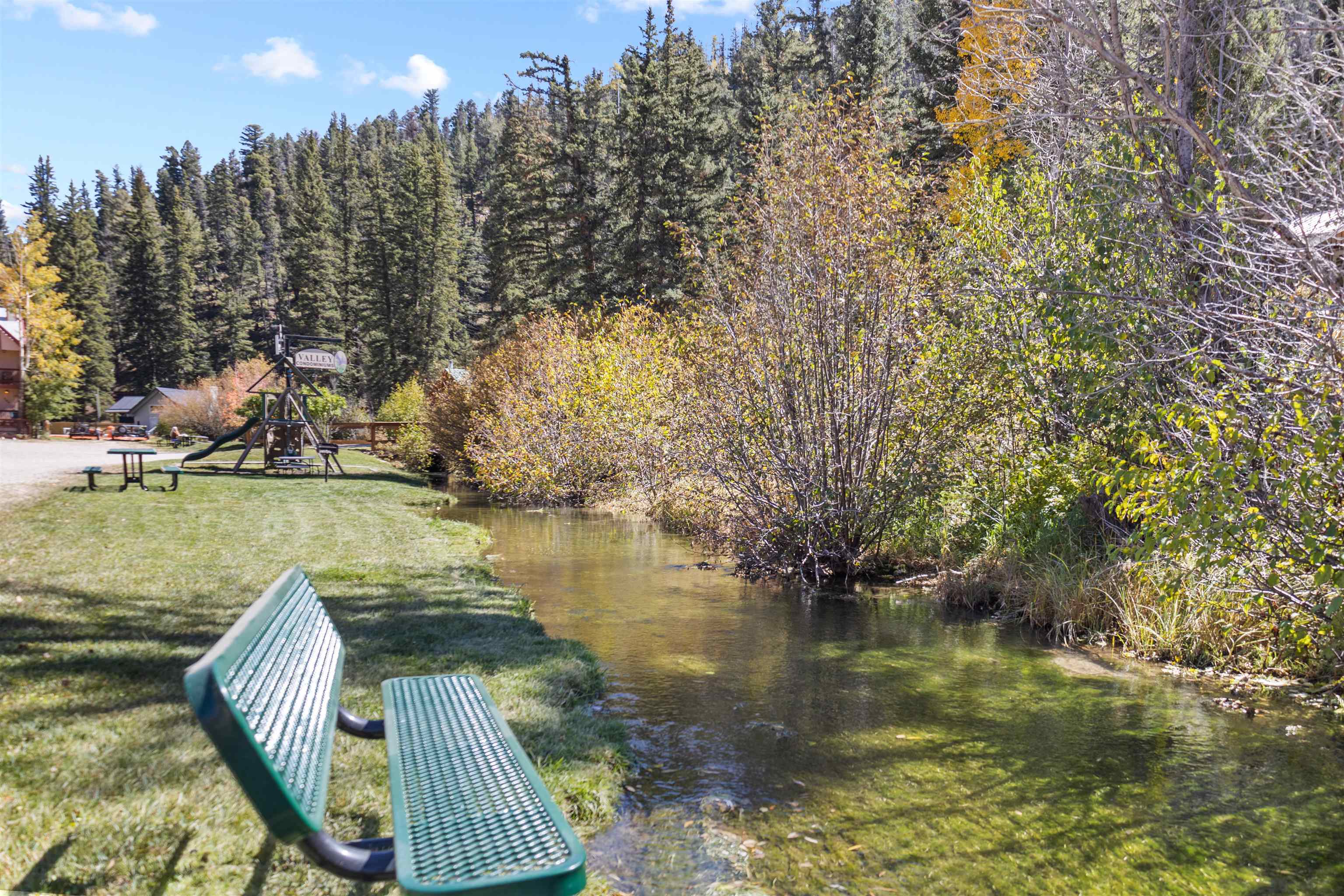 1000 Tenderfoot Trail #103-B, Red River, New Mexico image 19