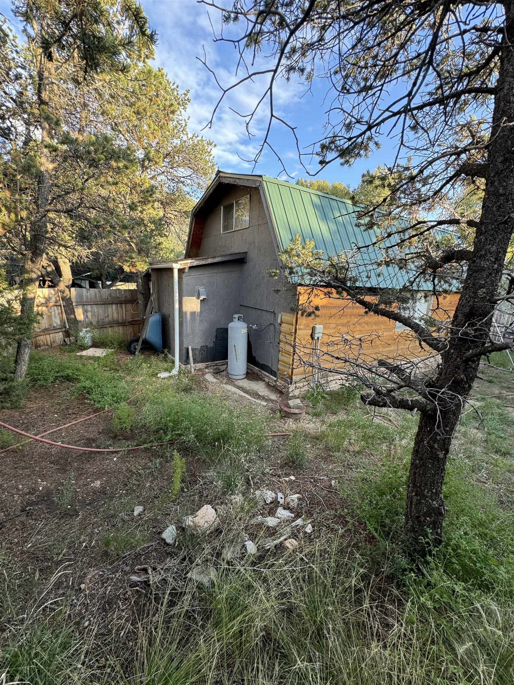 224 Cabrestro Road, Questa, New Mexico image 11