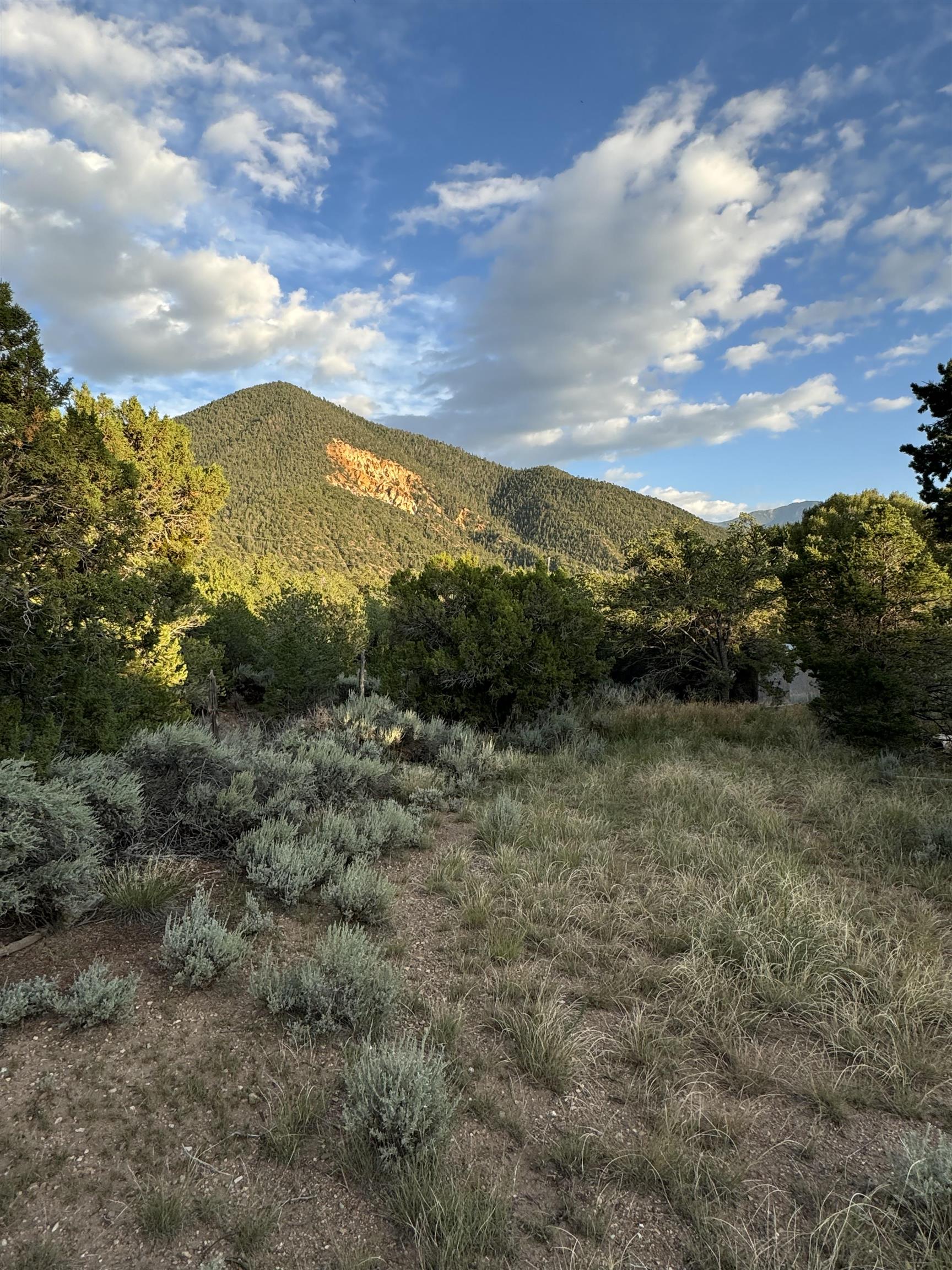 224 Cabrestro Road, Questa, New Mexico image 20