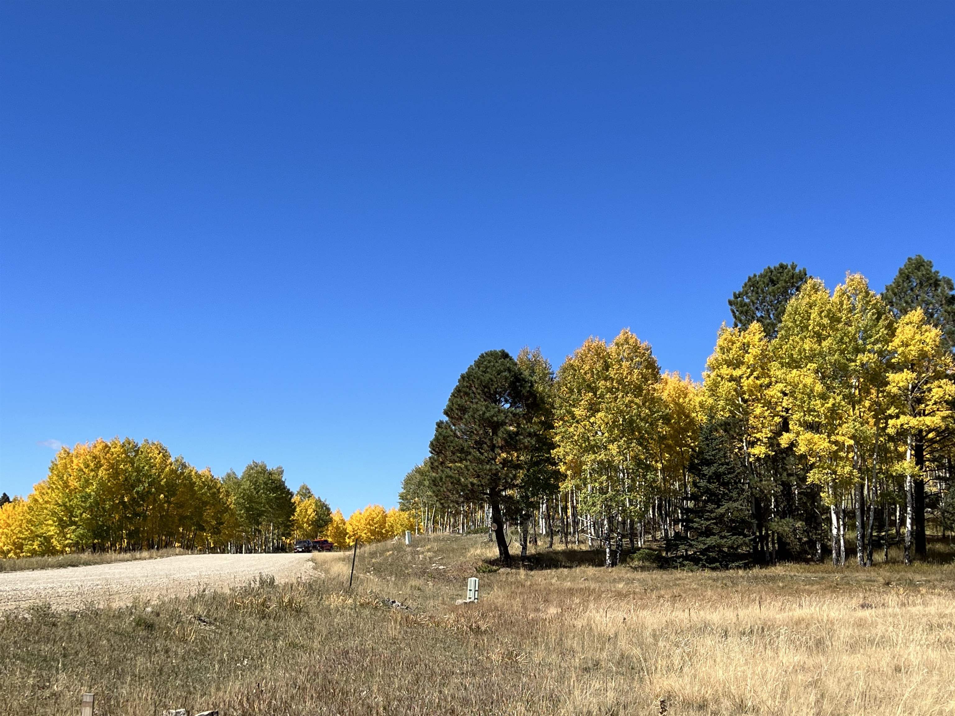 Lot 188 Meadow Glen, Angel Fire, New Mexico image 19
