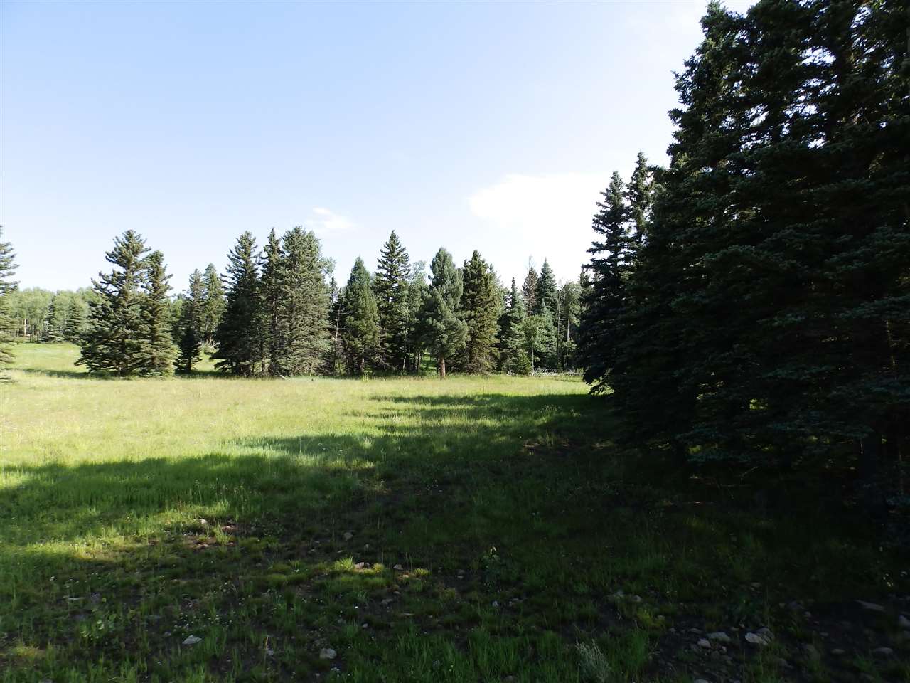 Lot 188 Meadow Glen, Angel Fire, New Mexico image 4