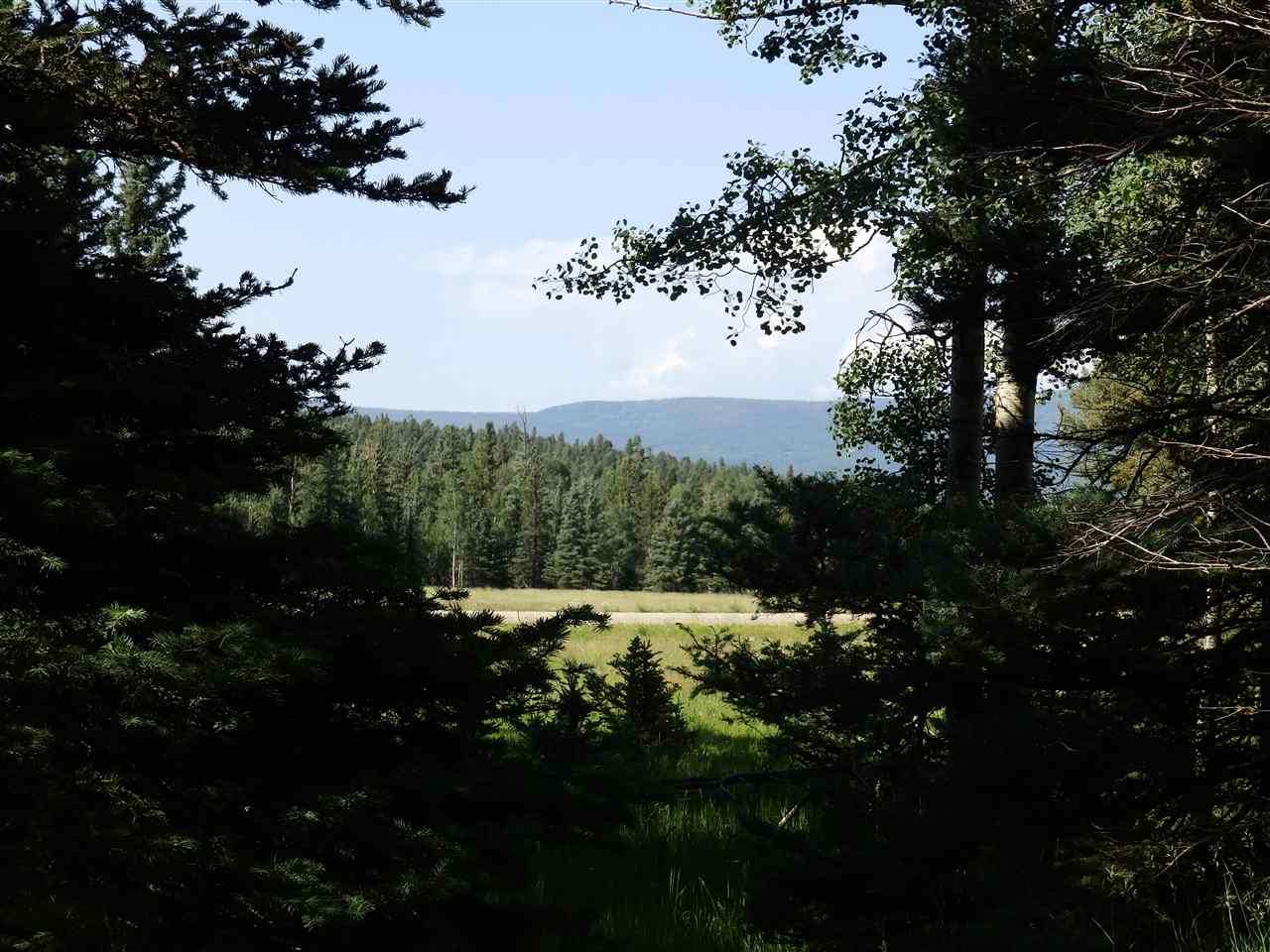 Lot 188 Meadow Glen, Angel Fire, New Mexico image 17