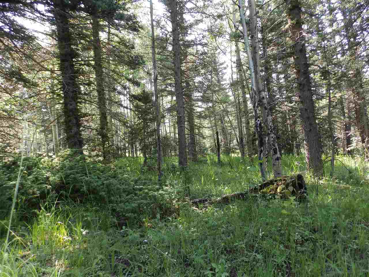 Lot 188 Meadow Glen, Angel Fire, New Mexico image 15